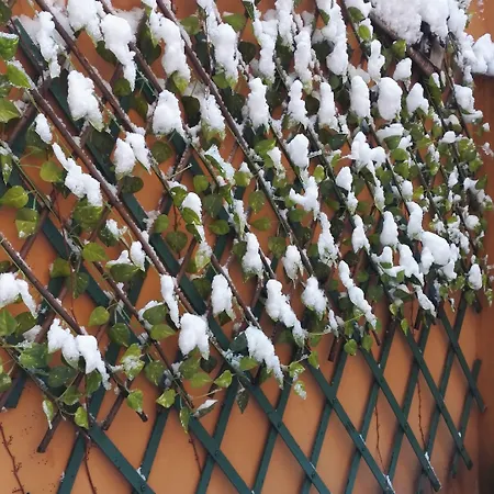 Maison d'hôtes Calamatta Rome